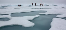 Canada must act soon on climate change: David Suzuki Foundation says