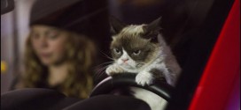 Grumpy Cat movie trailer : Best Holiday Movie Ever (Video)