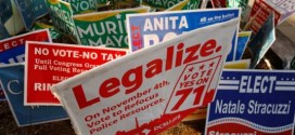 Marijuana vote : Oregon, DC voters OK use of pot