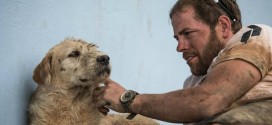 Stray dog follows adventure team for 40km (Video)