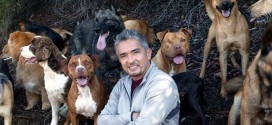 Cesar Millan Dies Of A Heart Attack? Pooch Slams Death Rumors as Hoax