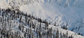 Avalanche Canada introduces new public safety app