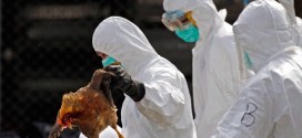 British Columbia resident tests positive for H7N9 avian flu virus