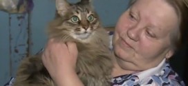 Hero Cat Saves Baby : Russian Cat Protects Abandoned Baby While Meowing for Help (Video)