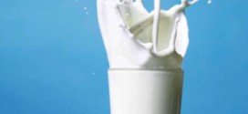 Taking Chocolate Out of Milk Halves Milk Intake in Schools, New Study