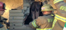 Woman Stuck In Chimney - Photo : Crews rescue naked woman trapped in ex-lover's SoCal chimney