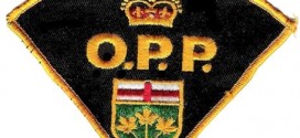 Arrest Made After Flight From Police On Snowmobile : OPP