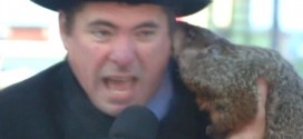 Groundhog Bites Mayor in Sun Prairie, Wis. (Video)