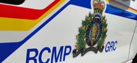 Pilots survive mid-air plane crash near Bashaw : RCMP