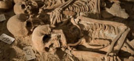 Medieval Skeletons Found In Paris - Photo : 200 bodies found in mass grave beneath Paris supermarket