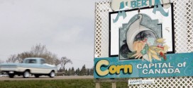 Town of Taber, Alberta moves to ban swearing (Video)