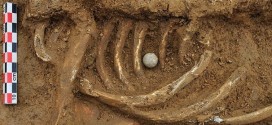 200 Year Old Skeleton Found : Archaeologist identified man who fought with British troops as Friedrich Brandt