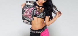 AJ Lee Retires From In-Ring Action, WWE Issues Statement