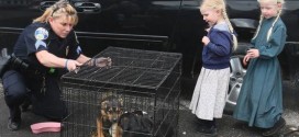 Police pull over van with caged puppies on roof, driver unaware it's wrong