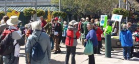 Rally for climate change in Calgary