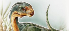 Researchers unearth fossils of 'jigsaw puzzle' dinosaur Chilesaurus