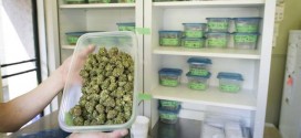 Vancouver proposes tough new rules for marijuana shops (Video)