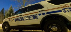 Calgary Police investigate home invasion in Royal Oak