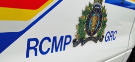 Hikers discover skeletal human remains near Canmore, RCMP investigate