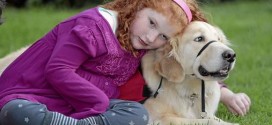 Service dogs that sniff out seizures give kids more normal lives, Report