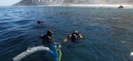 Wreck Of Slave Ship : South Africa discovery reveals slave ship artefacts