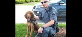 K-9 dies after being left in handler's hot patrol car