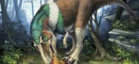 Theropods were having distinctive teeth structures, scientists find