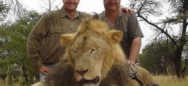 Walter Palmer : American who killed Cecil the lion closes Minnesota dental practice