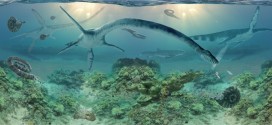 Elasmosaur : Remains of Ancient Long-Necked Marine Reptile Found in Alaska