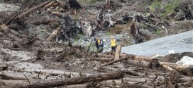 Sitka landslide : Rescue dogs help recover the remains of one missing person