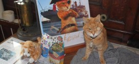 Erik The Red : Retirement party held for cat who caught mice aboard CSS Acadia