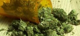 Medical marijuana appears to be safe, study shows