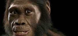 New human ancestor discovered in Africa, new study says