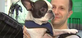 Pilot diverts international flight to save dog's life (Video)