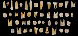 Ancient Teeth from China reveal early human trek out of Africa