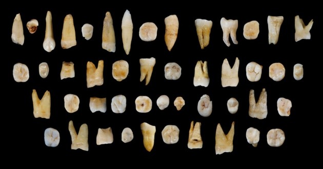 Ancient Teeth from China reveal early human trek out of Africa