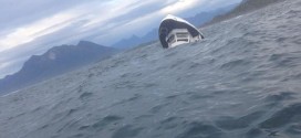 Five drowned after Canada whale-watching boat sinks (Video)