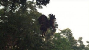 Jersey Devil sighting: 'Devil' Is Pictured Flying Over A Golf Course In America (Video)