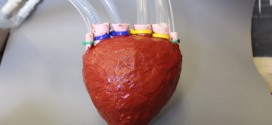 Scientists develop artificial 'foam' heart