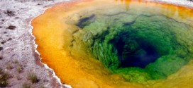 A whiff from blue-green algae likely responsible for Earth's oxygen, says new Research