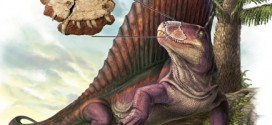 Canuckosaur: First Canadian 'dinosaur' actually a Dimetrodon