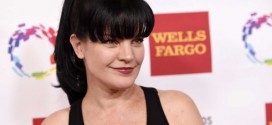 Pauley Perrette: 'NCIS' actress Assaulter Denies Actress' Accusations