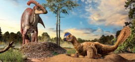 Scientists look at fossilized eggs to explain evolution of dinosaur nests