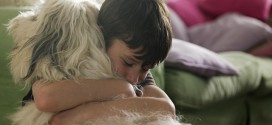 Study shows that dogs reduce anxiety in children