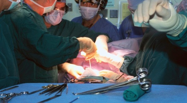Wealthy more likely to get organ transplants, according to new study