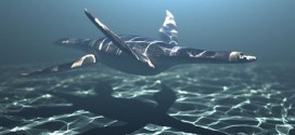 Ancient plesiosaurs flew underwater like penguins, study reports