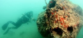 Divers Reveal Plane Sunk In Pearl Harbor Attack (Photo)