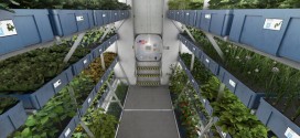 Growing potatoes on Mars: Setting course for Martian farming