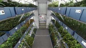 Growing potatoes on Mars: Setting course for Martian farming