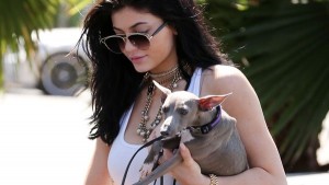 Kylie Jenner: Reality Star Under Investigation for Animal Cruelty